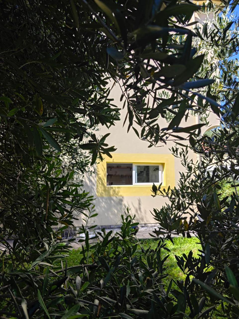 Apartmani Radovic บิเยลา ภายนอก รูปภาพ
